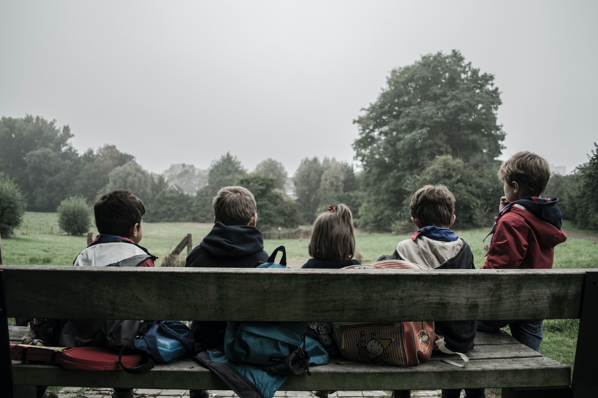A group of children with rucksacks sat on a bench looking into the field and woods